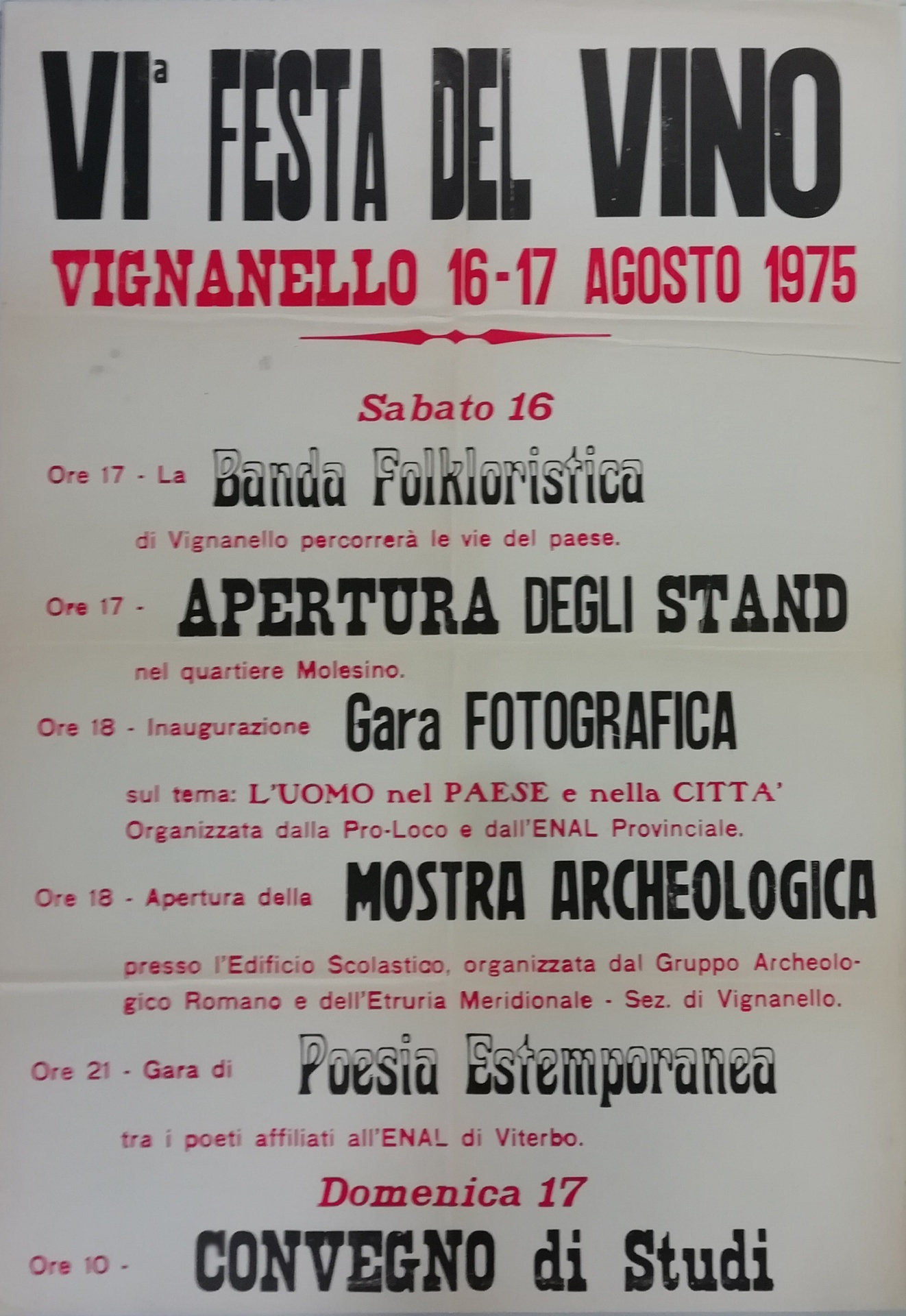 VI Festa del Vino